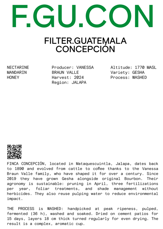 Nomad - Filter, Guatemala, Finca Conceptión - Washed Gesha