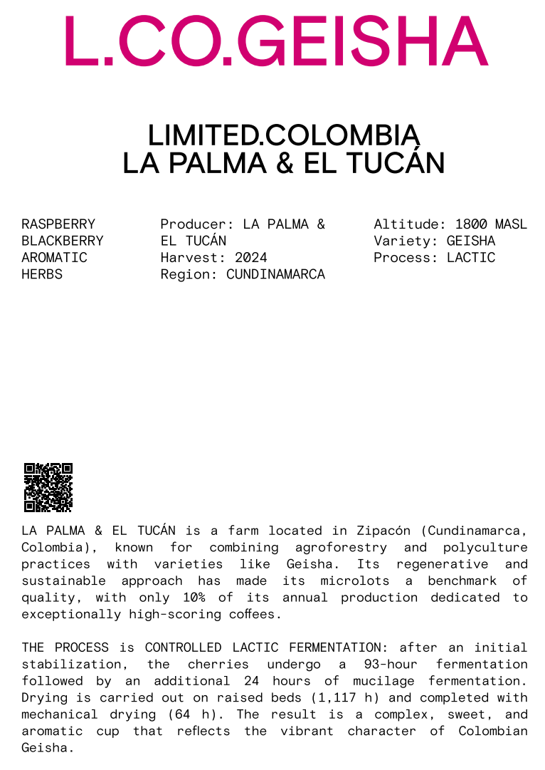 Nomad - Limited, Omniroast - Lactic Gesha - La Palma Y El Tucán