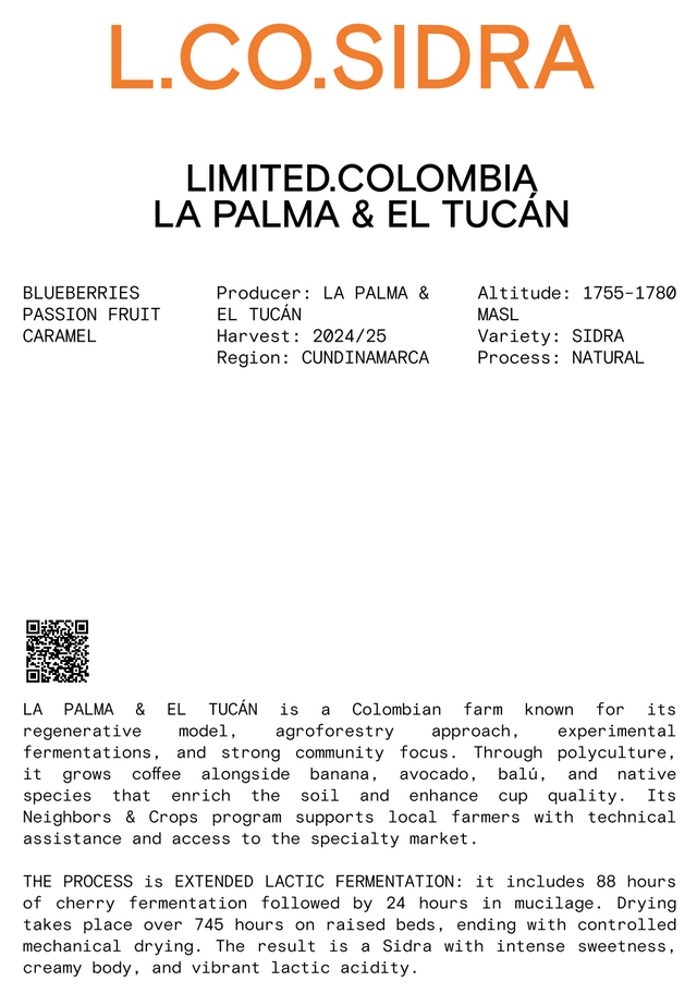 Nomad - Limited, Omniroast - Lactic Sidra - La Palma Y El Tucán
