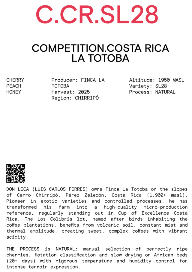 Nomad - Filter - Costa Rica Totoba, Natural SL28