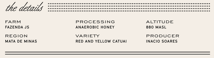 Manhattan Roasters - Brazil Inacio Soares F2 - Sigma Coffee UK