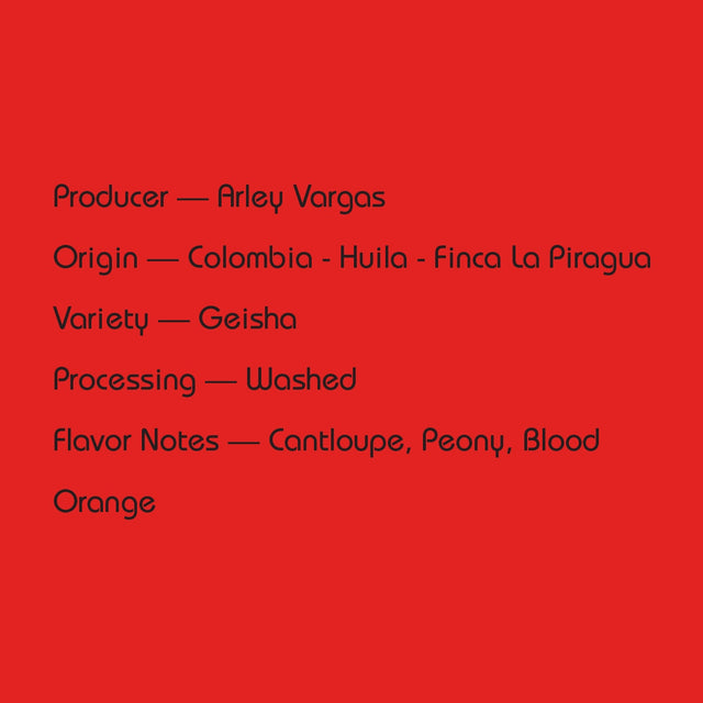 Mirra Coffee - Arley Vargas Washed Geisha | Colombia