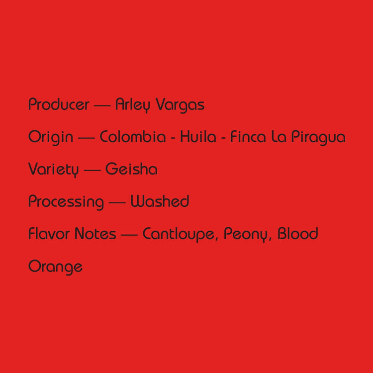 Mirra Coffee - Arley Vargas Washed Geisha | Colombia