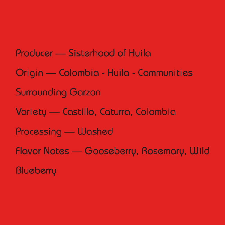 Mirra Coffee - Sisterhood of Huila | Colombia