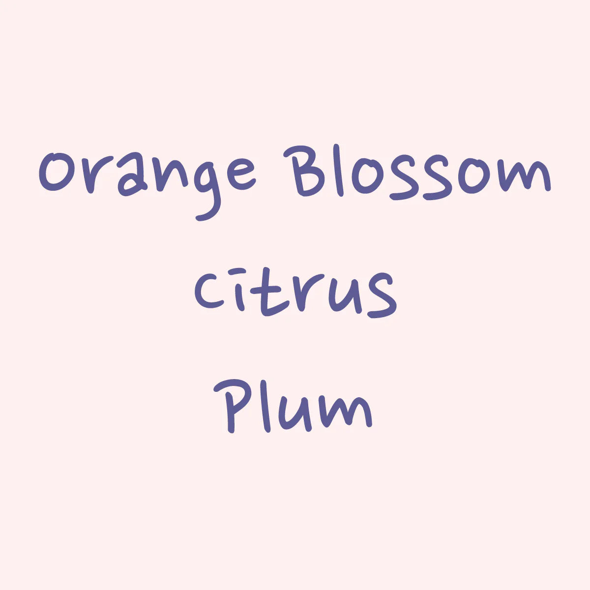 Hydrangea - Gesha 'Flower Touch' TNT Lab - Finca Auromar