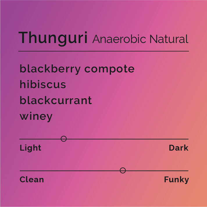 Black & White - Thunguri - Anaerobic Natural