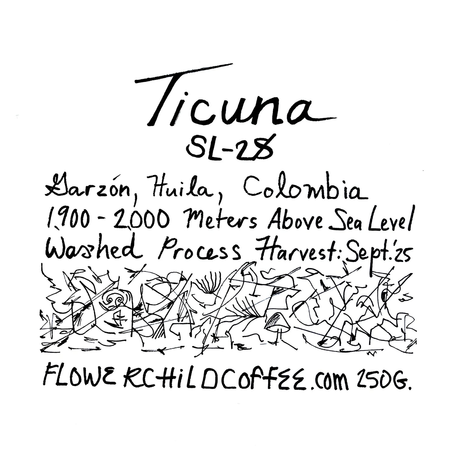Flower Child - Cafe Ticuna SL28 - Sigma Coffee UK
