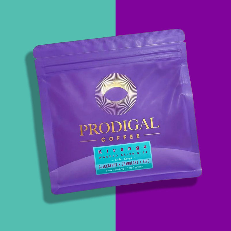 Prodigal Coffee - Kivanga AA SL28 & SL34 Washed | Kenya