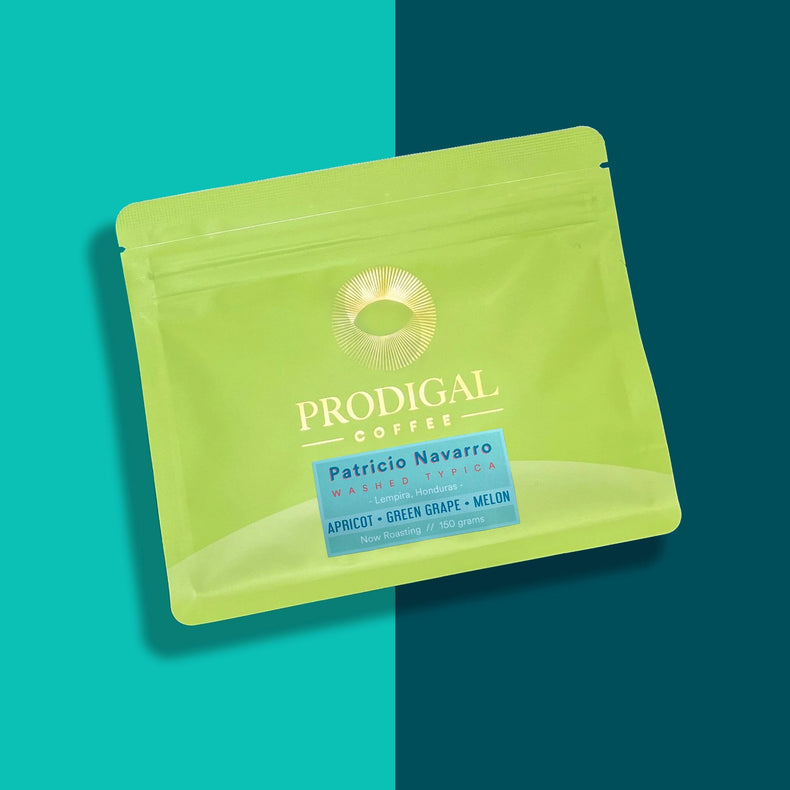 Prodigal Coffee - Patricio Navarro Semi-Washed Typica | Honduras