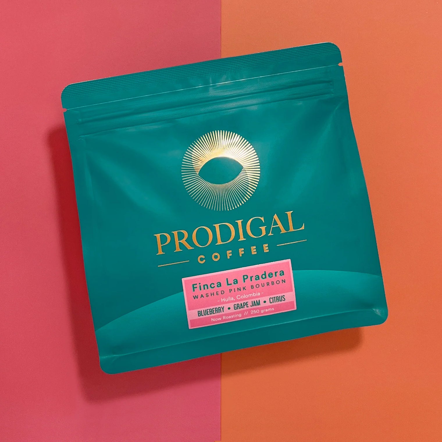 Prodigal - Finca La Pradera - Washed Pink Bourbon | Colombia