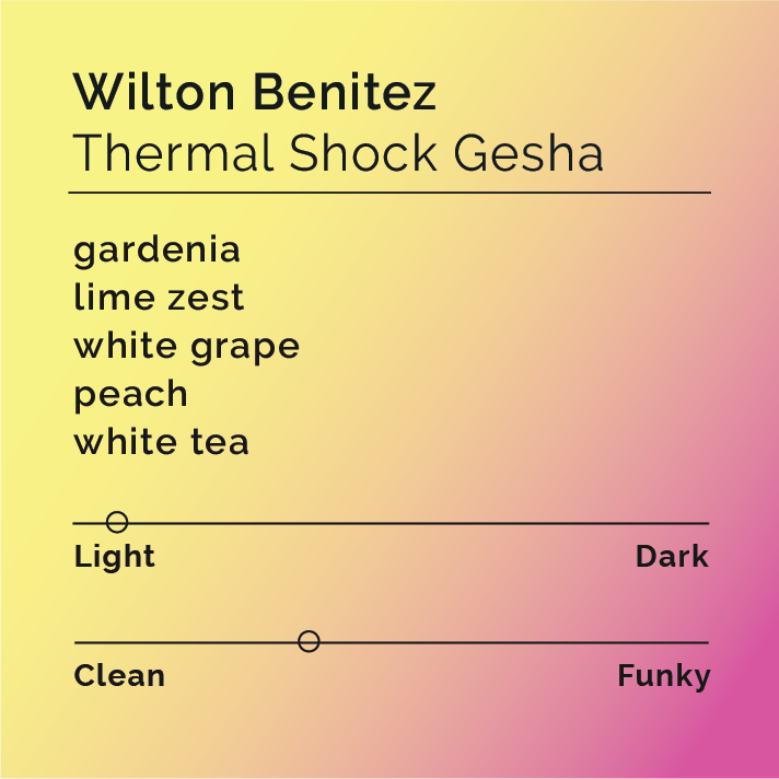 Black & White - Thermal Shock Gesha - Wilton Benitez