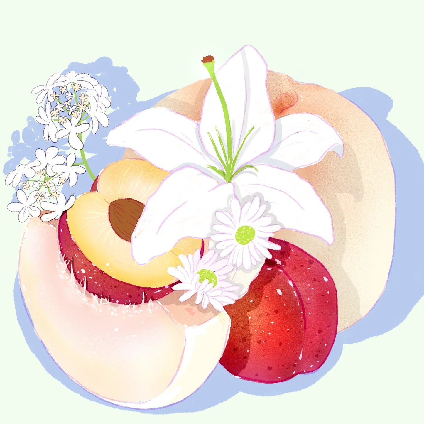 Hydrangea - Gesha Washed - Carmen Lot 8 (Ultralight)