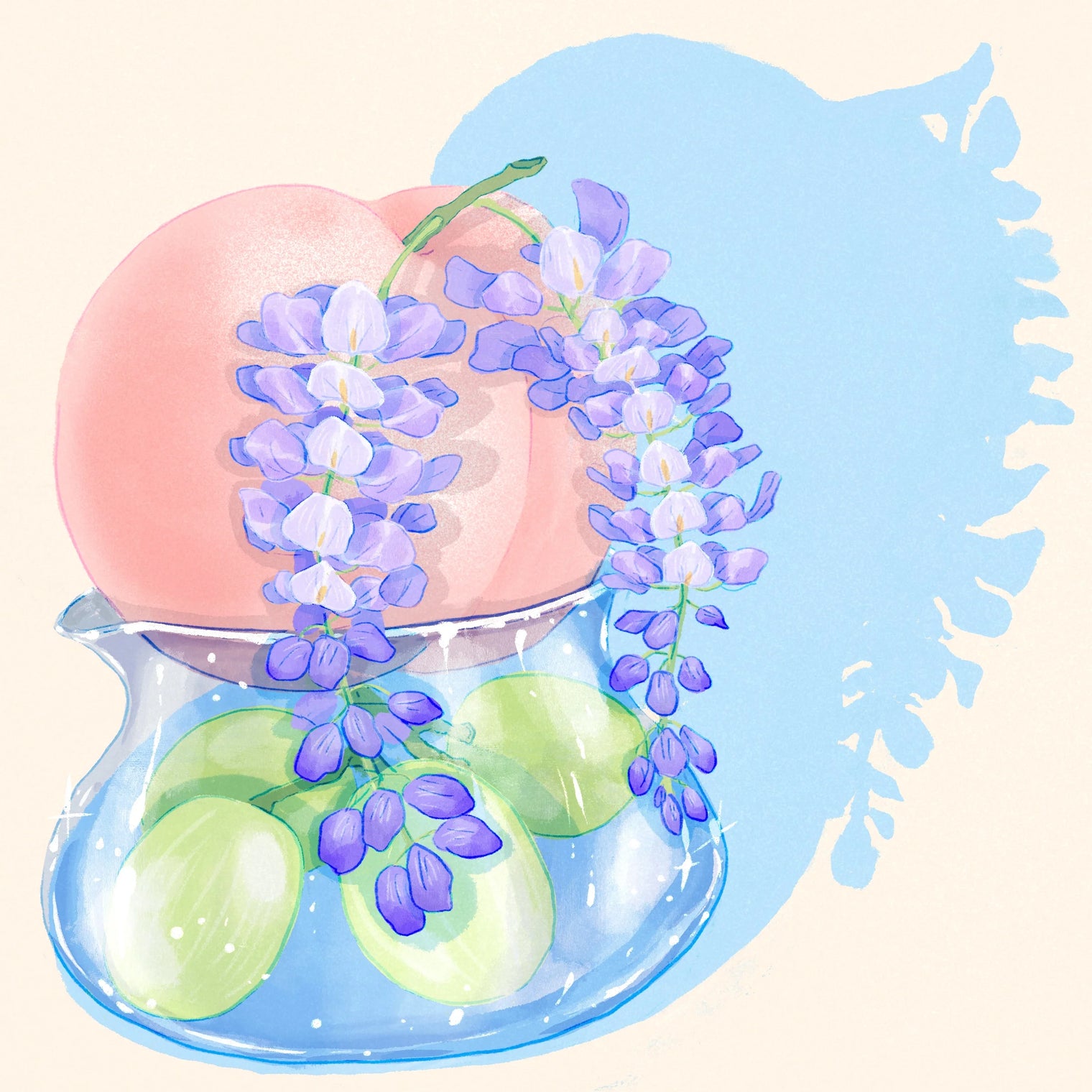 Hydrangea - Gesha 'Flower Touch' TNT Lab - Finca Santamaria