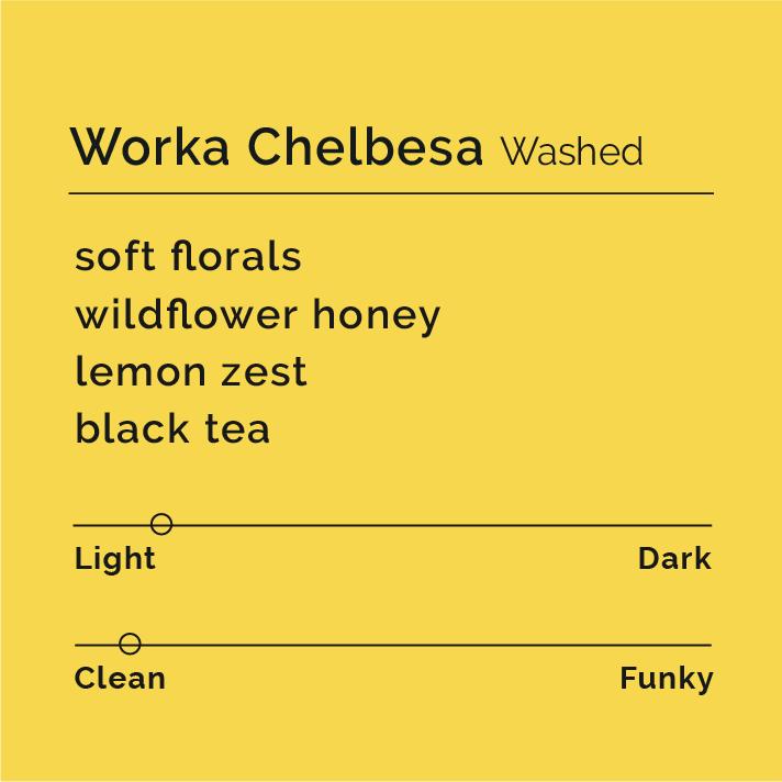 Black & White - Worka Chelbesa, Washed
