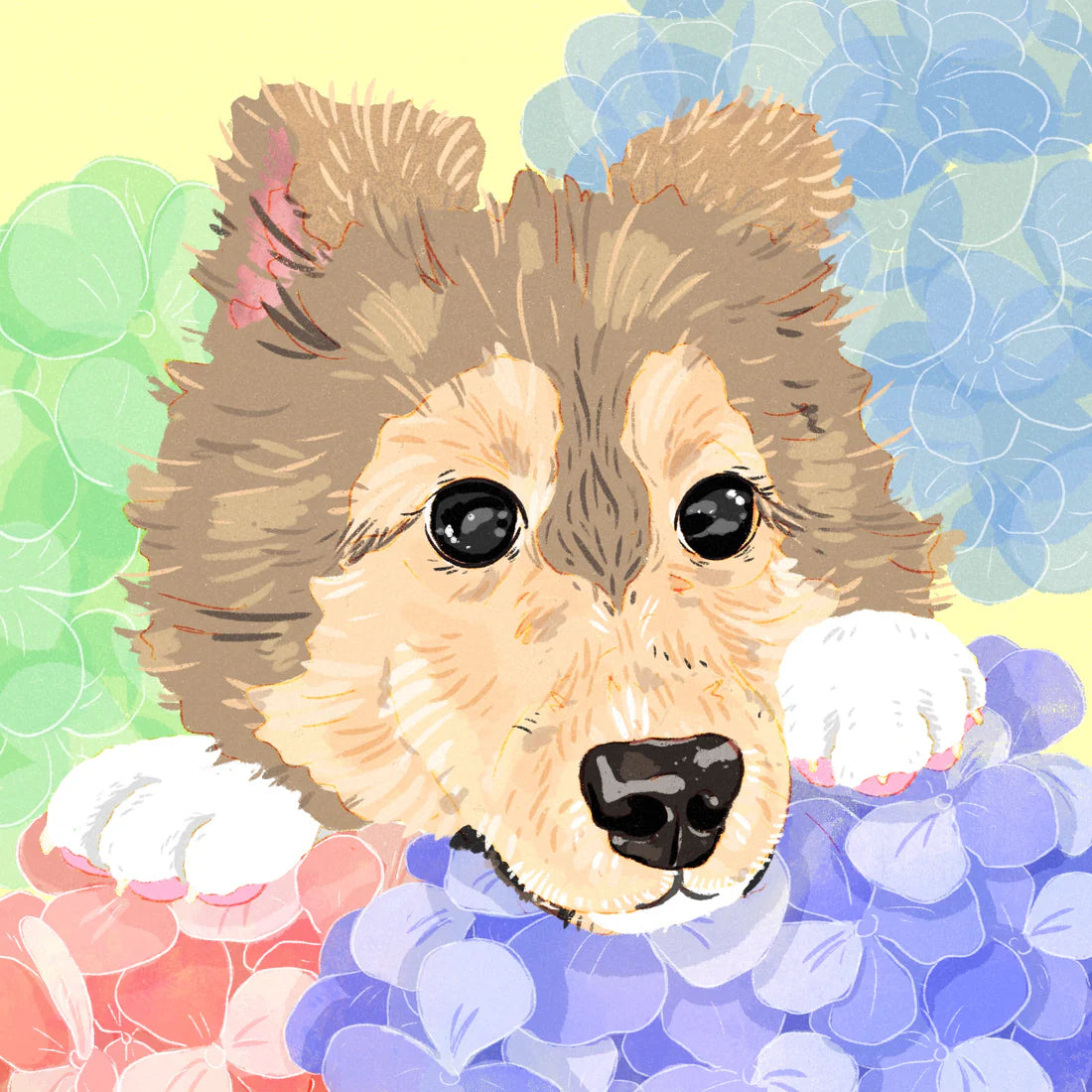 Hydrangea - Gesha Honey 843 NHF Finca Nuguo