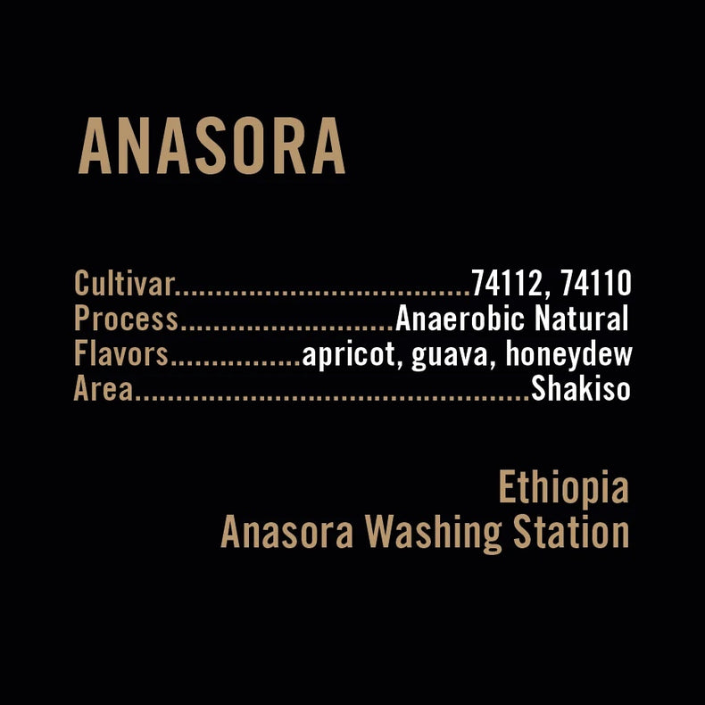 Apollon's Gold - Anasora 74110 & 74112 Anaerobic Natural | Ethiopia