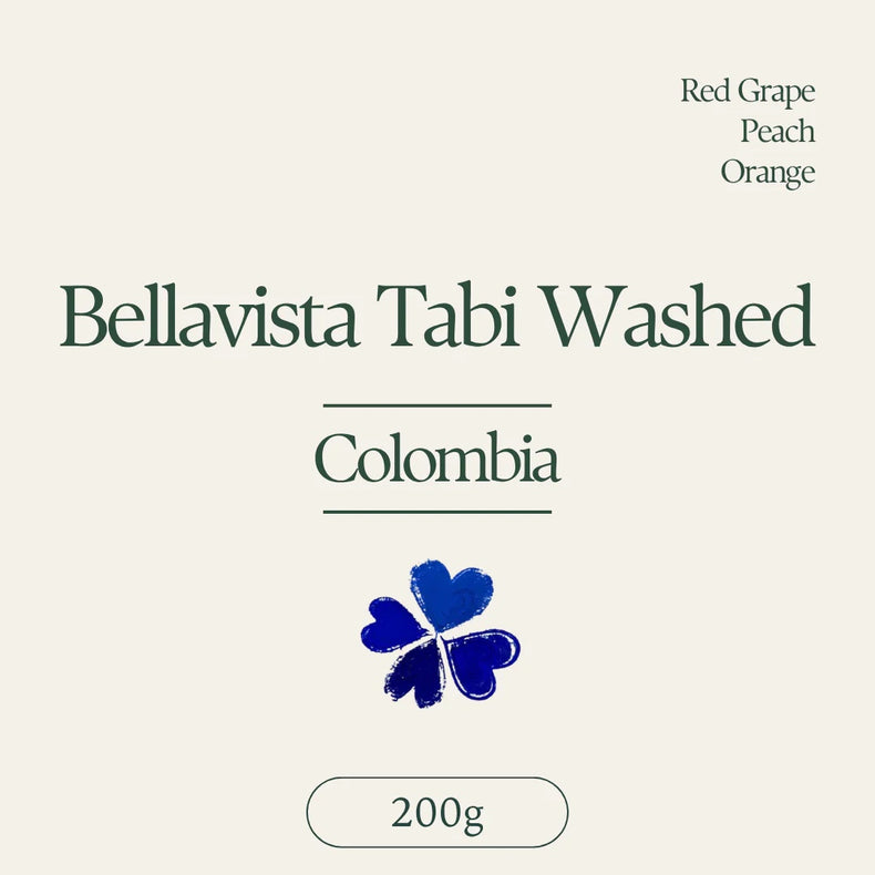 Klover - Bellavista Tabi Washed | Colombia