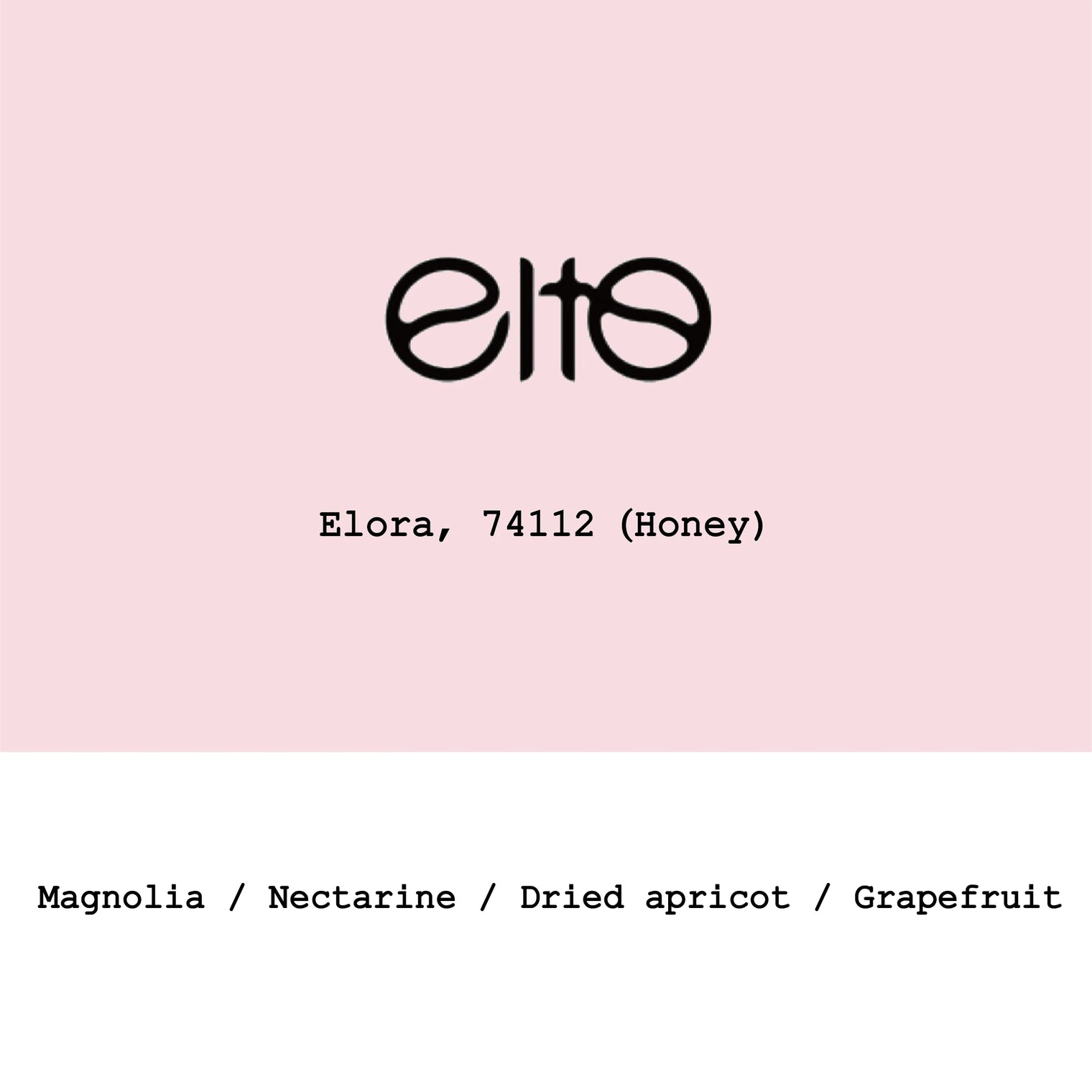 Goût & Co - Ethiopia Elto Elora 74112 Honey