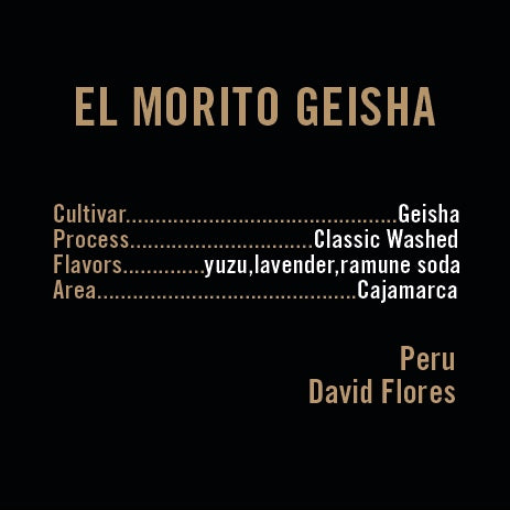 Apollon's Gold - El Morito Geisha | Peru - Sigma Coffee UK