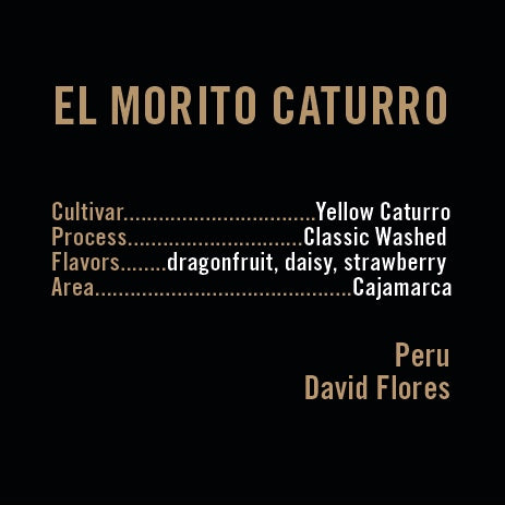 Apollon's Gold - El Morito Yellow Caturro | Peru - Sigma Coffee UK