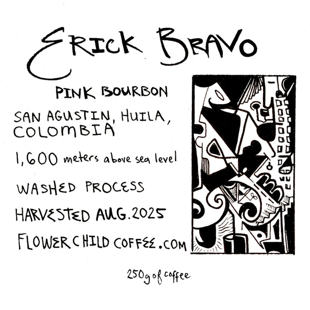 Flower Child - Erick Bravo - El Chaferote Washed Pink Bourbon | Colombia - Sigma Coffee UK