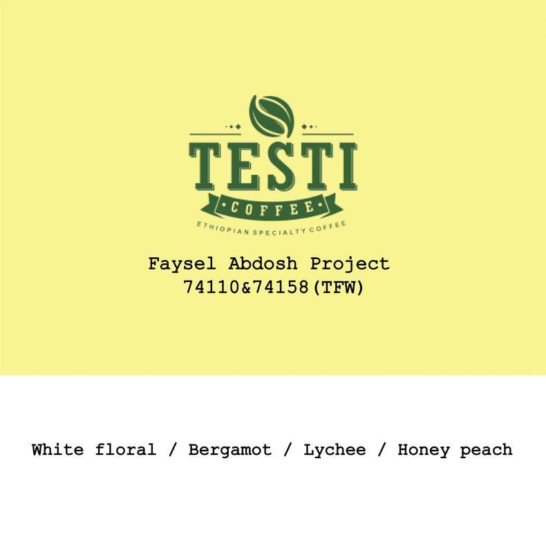 Goût & Co - 2026 New Crop Ethiopia Faysel Abdosh Project 74110&74158 Triple Fermentation Washed