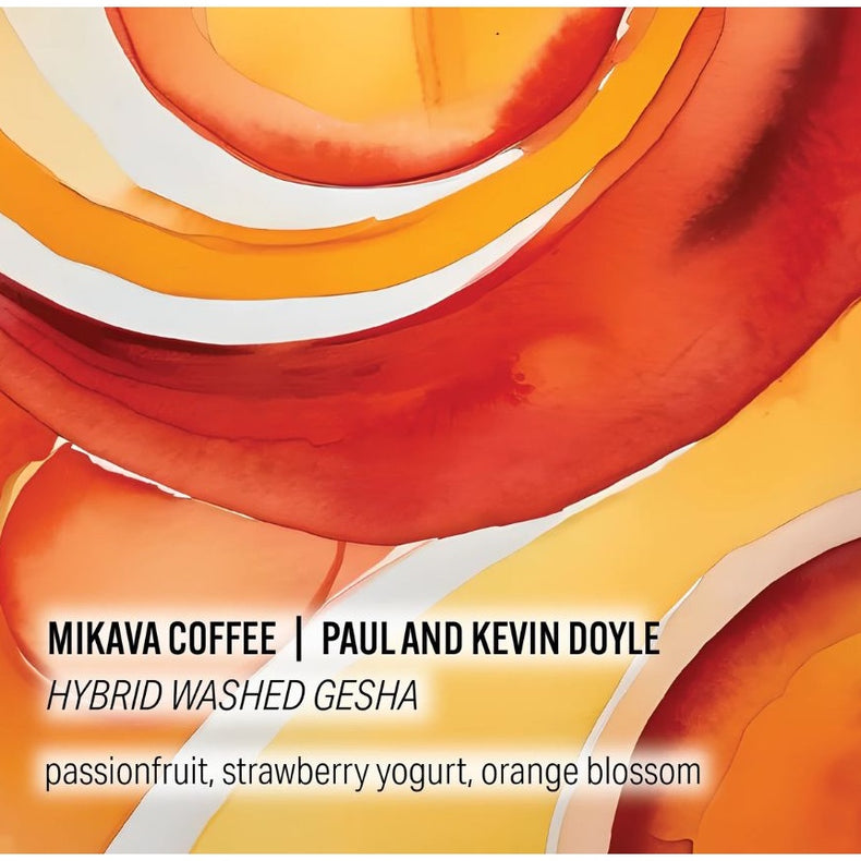 Moonwake Coffee Roasters - Mikava Coffee - Paul and Kevin Doyle - Hybrid Washed Gesha