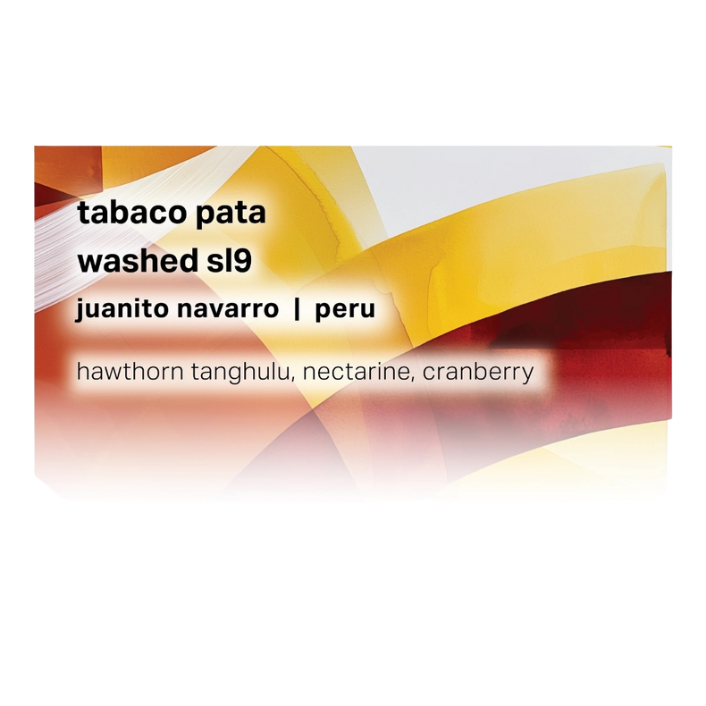Moonwake Coffee Roasters - Tabaco Pata - Juanito Navarro - Washed SL9 | Peru