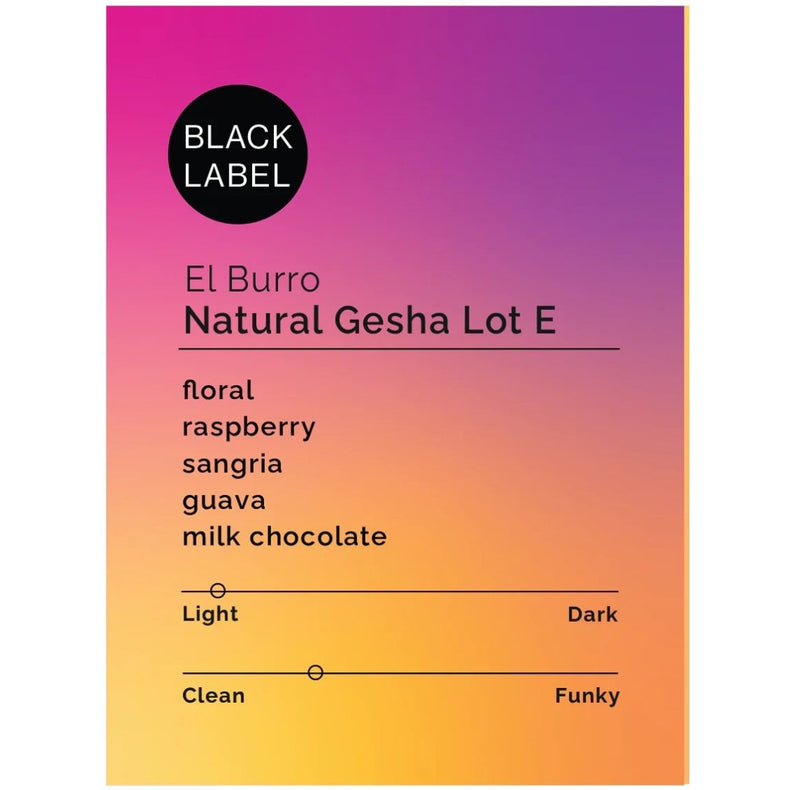 Black & White Roasters - El Burro - Natural Gesha Lot E | Panama