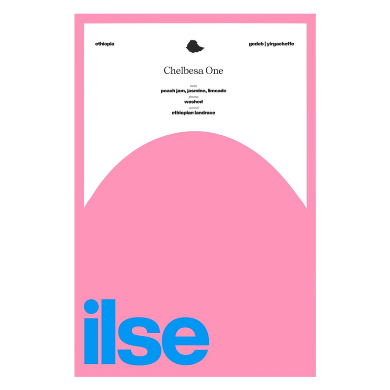 Ilse Coffee - Chelbesa One Washed Kurume & Wollisho | Ethiopia