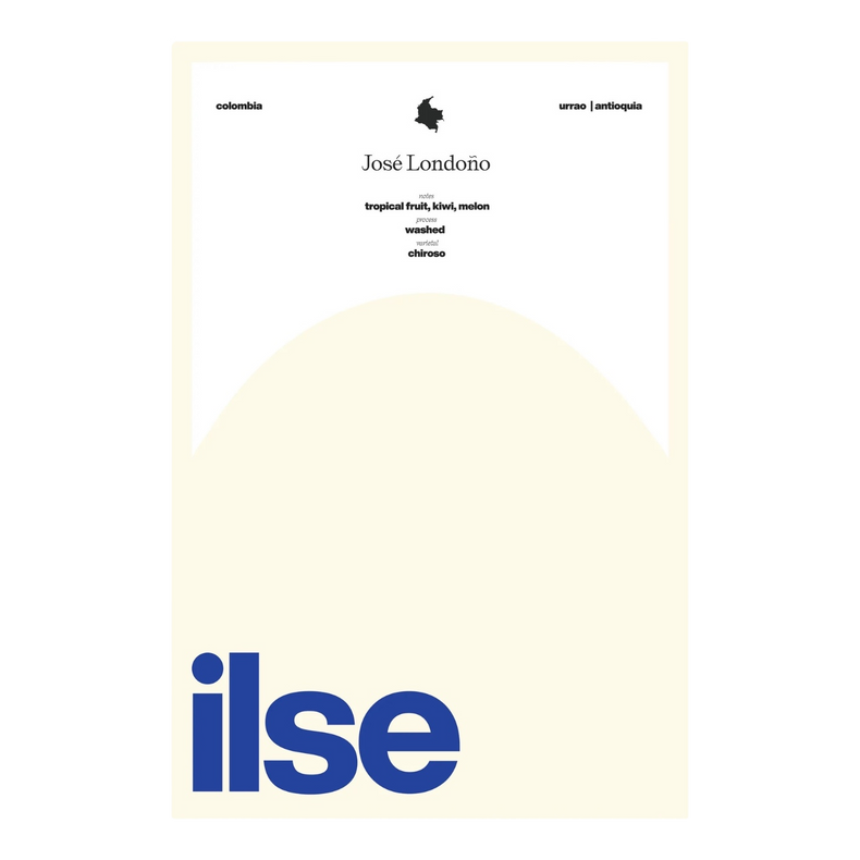 Ilse Coffee - Jose Londoño Washed Chiroso | Colombia