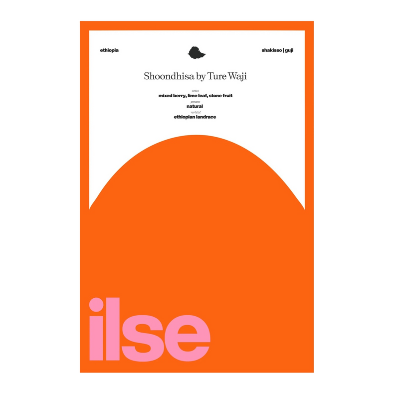 Ilse Coffee - Shoondhisa 74110 & 74112 Natural | Ethiopia