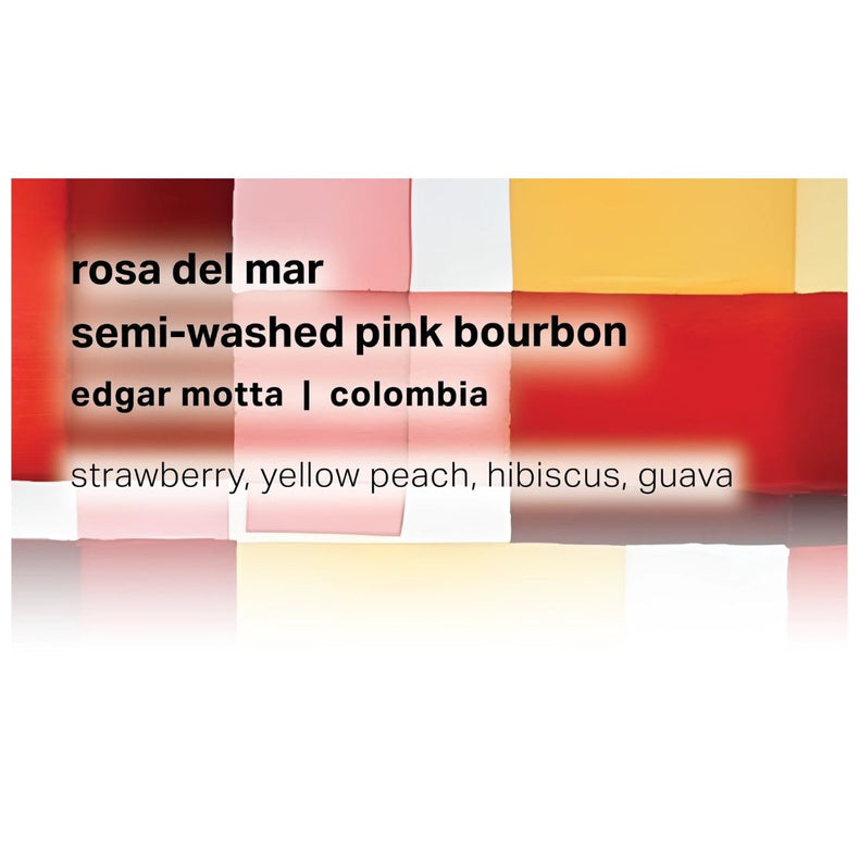 Moonwake Coffee Roasters - Rosa Del Mar - Edgar Motta - Semi-washed Pink Bourbon