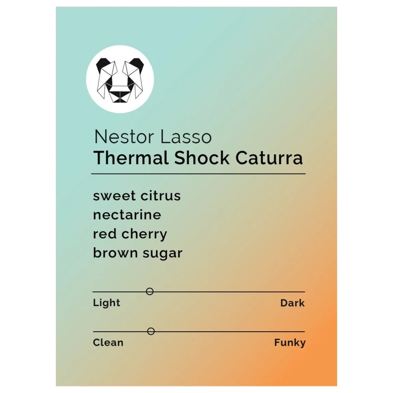 Black & White Roasters - Nestor Lasso - Thermal Shock Caturra | Colombia