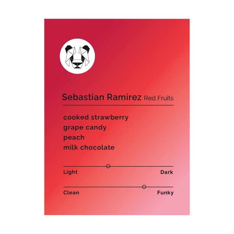 Black & White Roasters - Sebastian Ramirez Red Fruits | Colombia