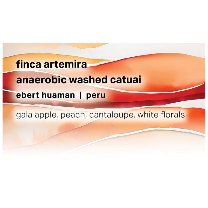 Moonwake Coffee Roasters - Finca Artemira - Ebert Huaman - Anaerobic Washed Catuai
