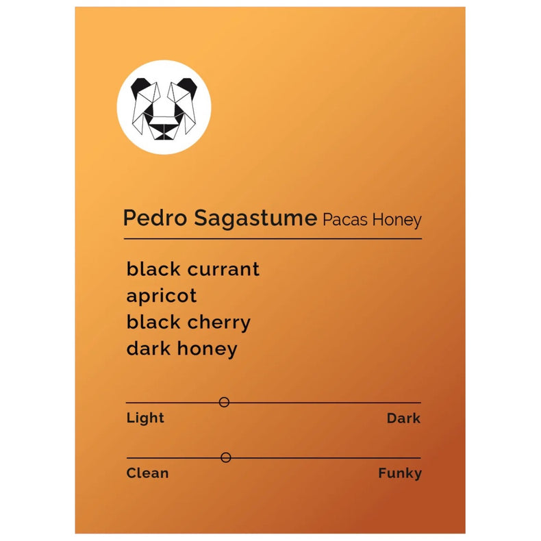 Black & White Roasters - Pedro Sagastume - Pacas Honey | Honduras