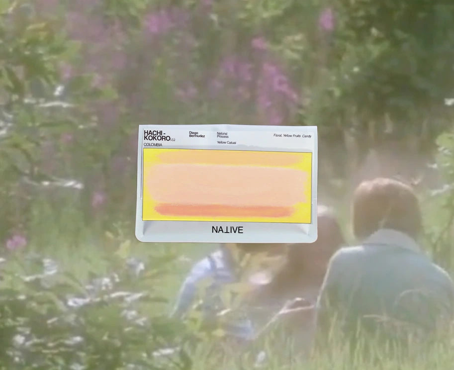 Native - HACHI - Kokoro (心) - Washed Yellow Catuaí