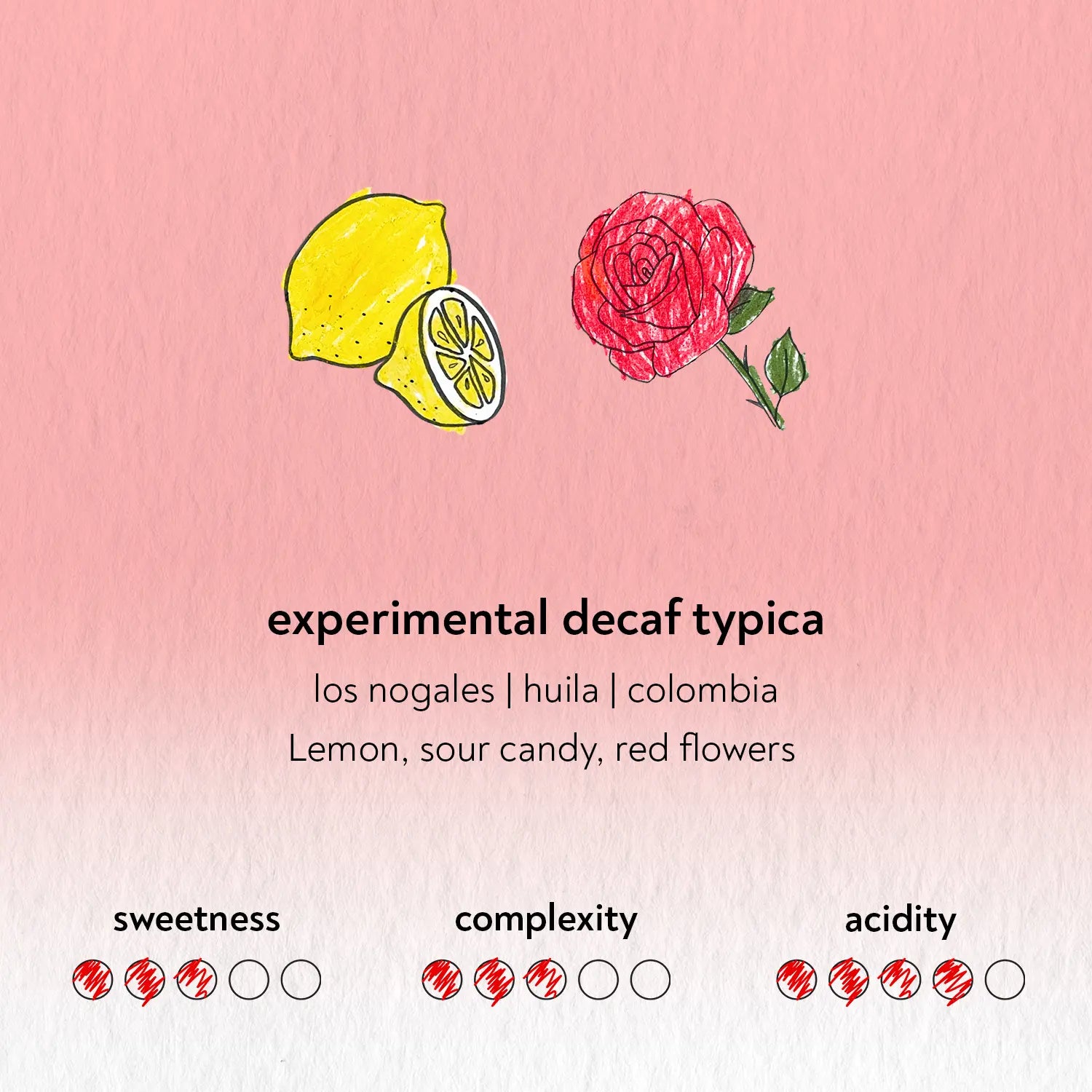 Sandbox - Experimental Decaf Typica | Colombia