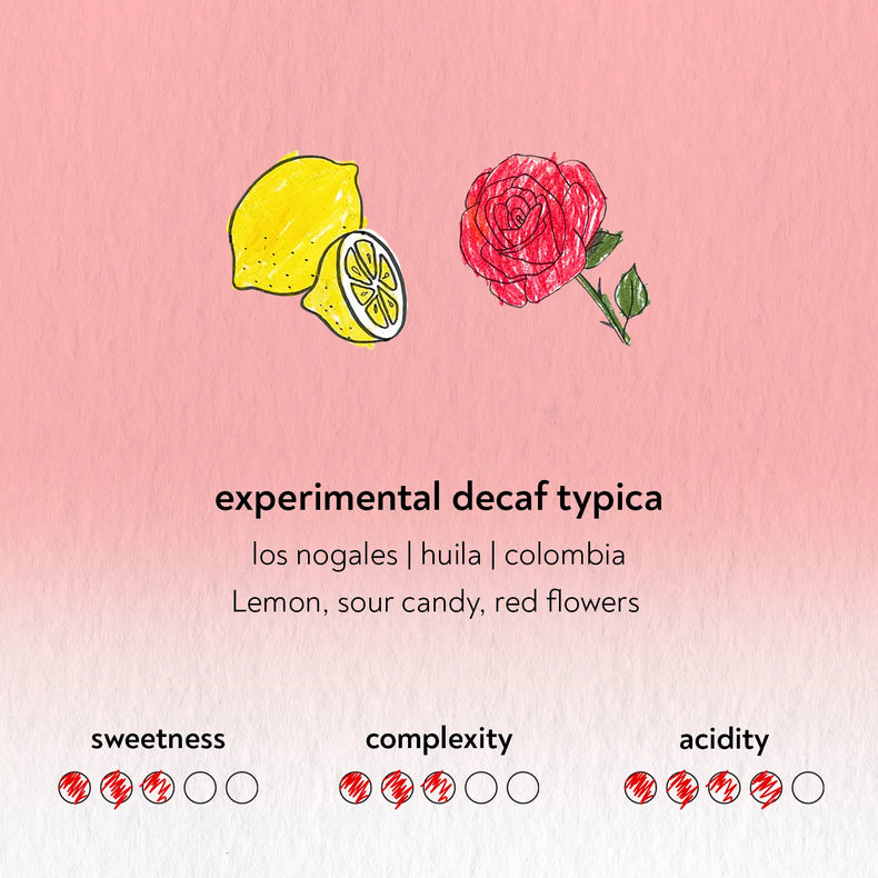 Sandbox - Experimental Decaf Typica | Colombia - Sigma Coffee UK
