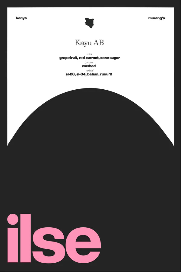 Ilse - Kayu AB - Washed | Kenya - Sigma Coffee UK