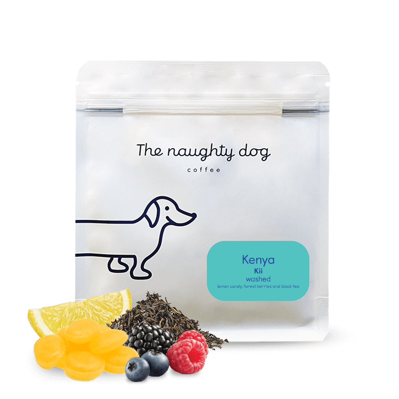 The Naughty Dog - Kenya Kii