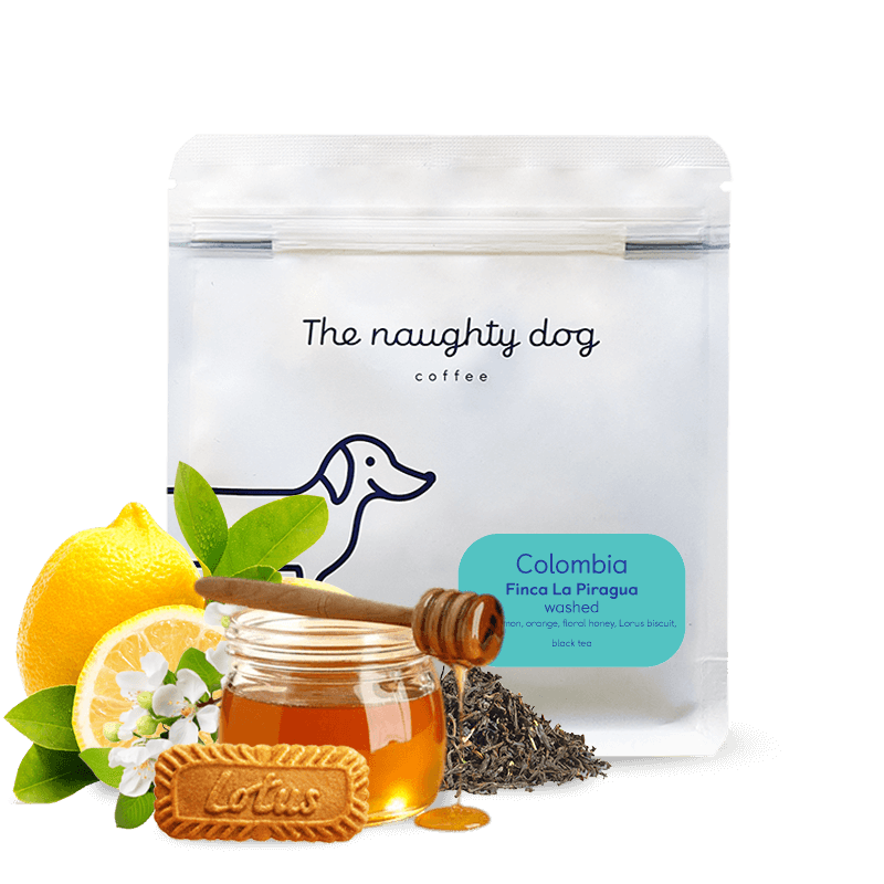 The Naughty Dog - Colombia, Finca La Piragua