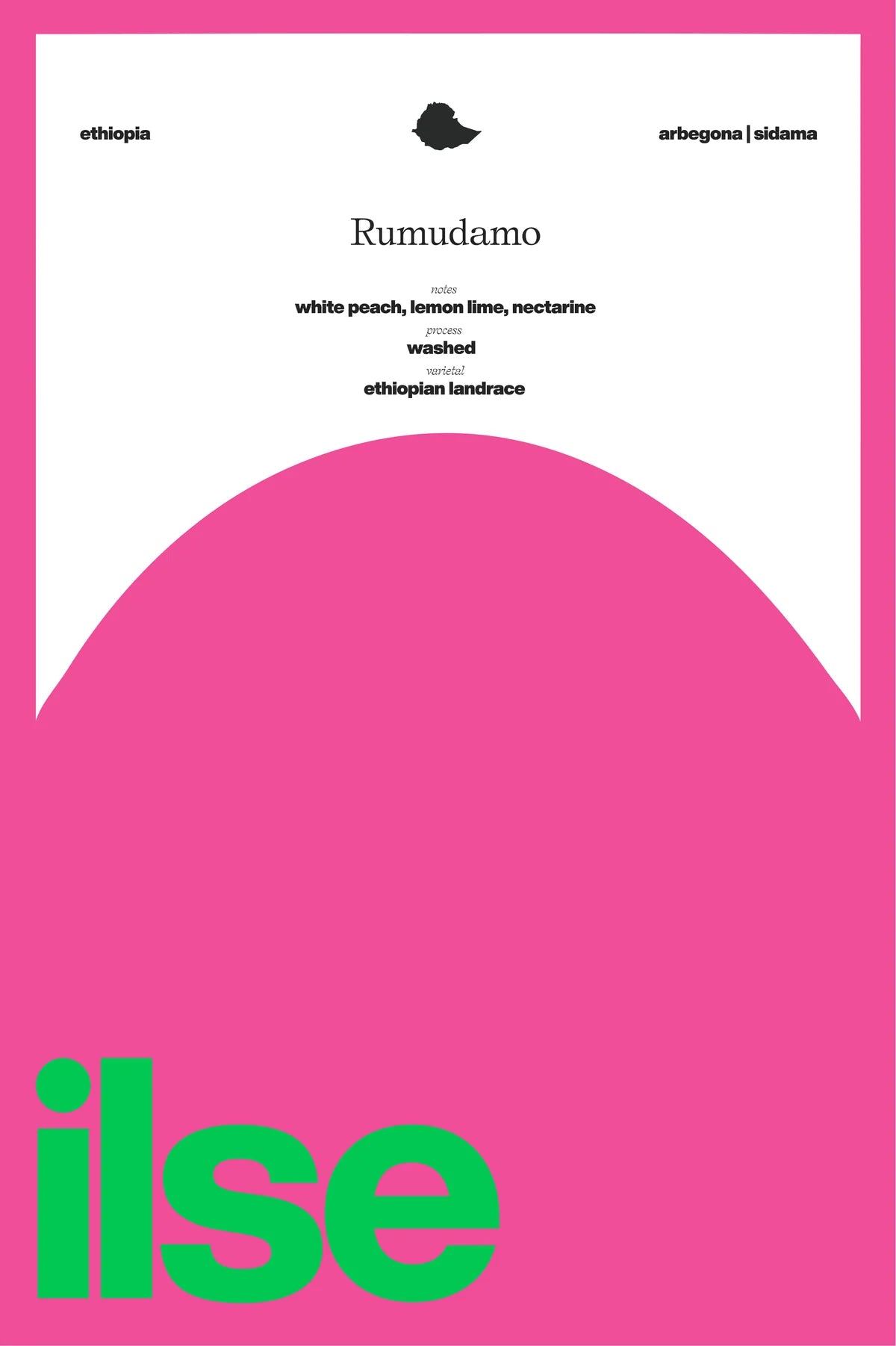 Ilse - Rumudamo - Washed Landrace | Ethiopia