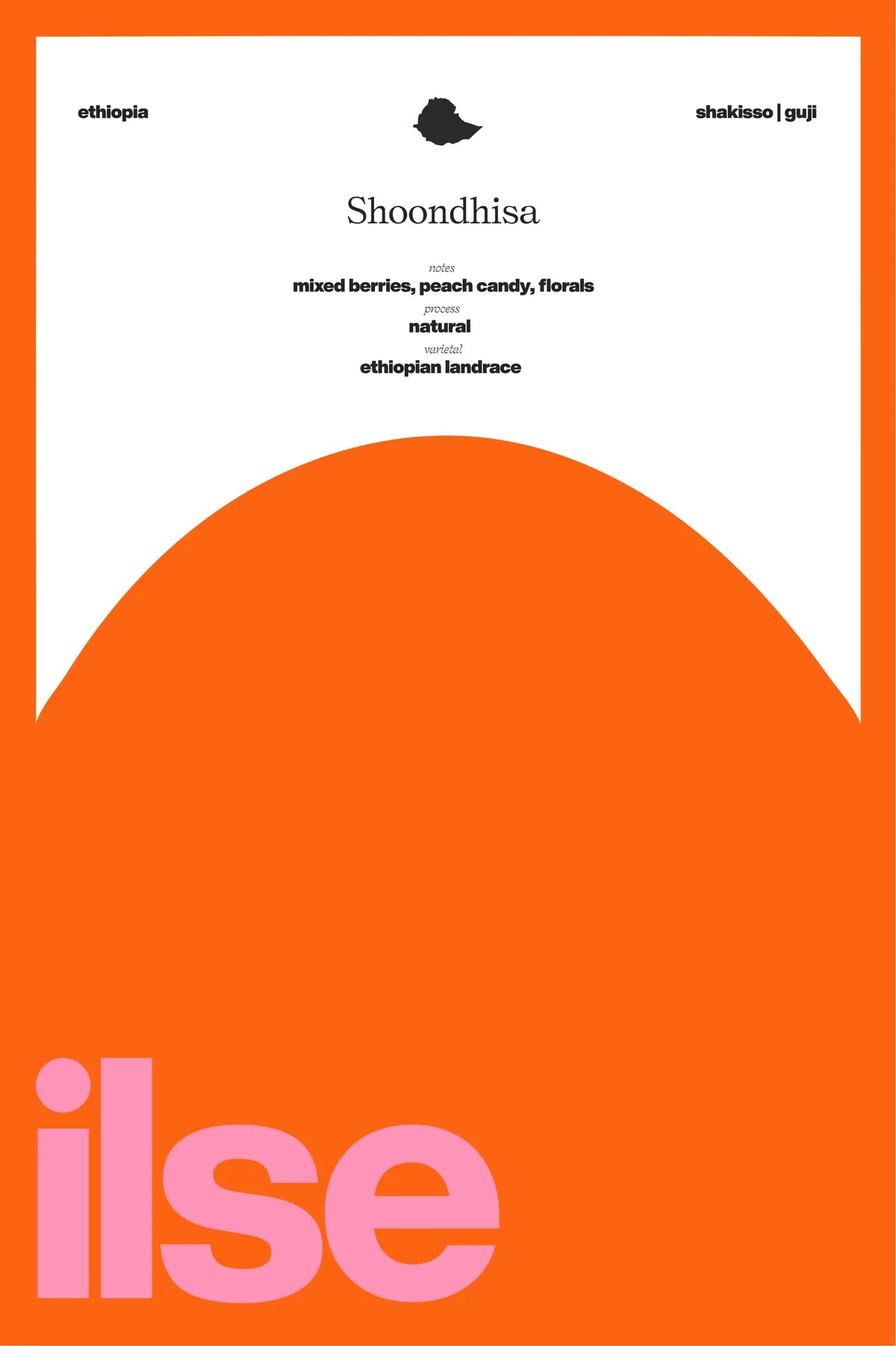Ilse - Shoondhisa, Natural Landrace | Ethiopia