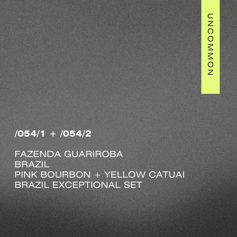 A Matter of Concrete - /054 Brazil Exceptional Set - Fazenda Guariroba