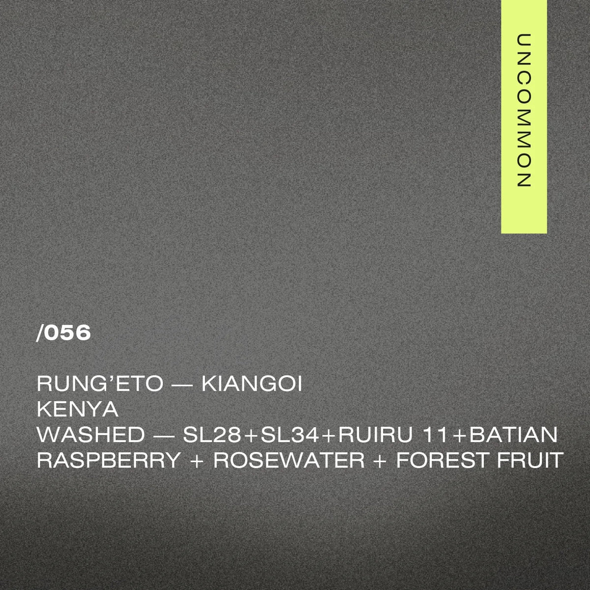 A Matter of Concrete - /056 KENYA — RUNG’ETO KIANGOI