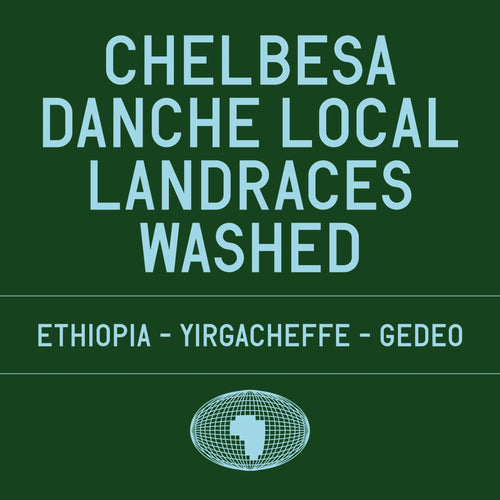 Datura Coffee - Chelbesa Danche Local Landraces Washed | Ethiopia