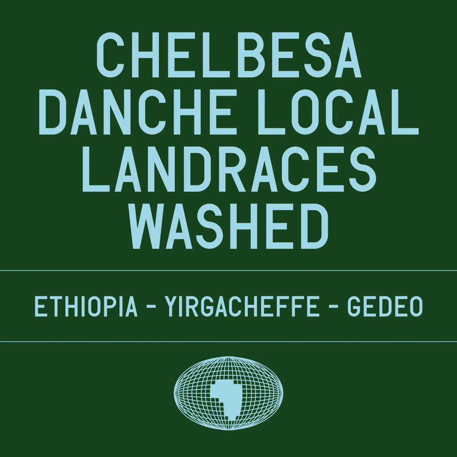 Datura Coffee - Chelbesa Danche Local Landraces Washed | Ethiopia