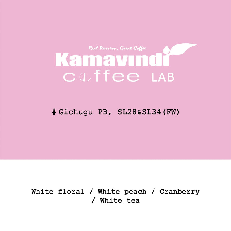 Goût & Co - Kamavindi/Gichigu SL28&SL34 PB Washed | Kenya